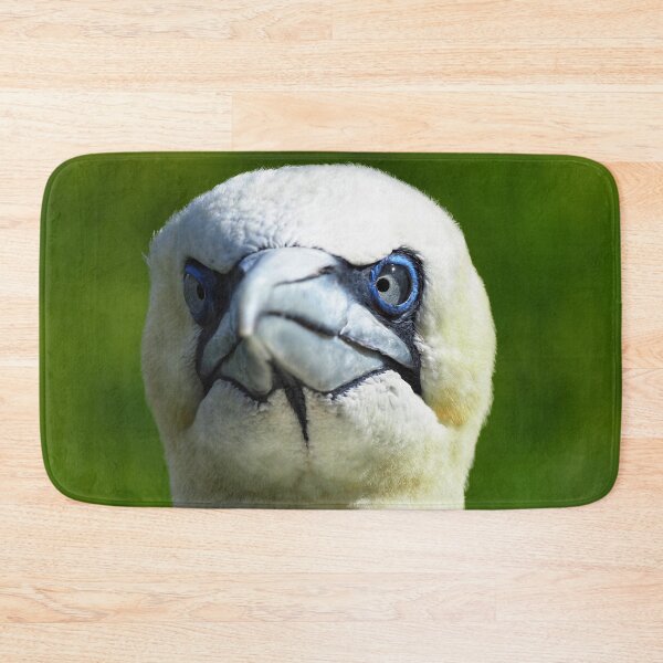 Item preview, A gannet at Cantick Head on Hoy designed and sold by Alan Mackinnon.