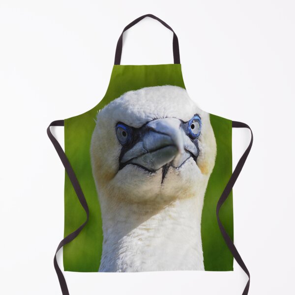 Item preview, A gannet at Cantick Head on Hoy designed and sold by Alan Mackinnon.