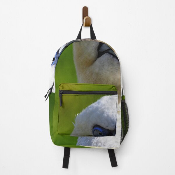 Item preview, A gannet at Cantick Head on Hoy designed and sold by Alan Mackinnon.