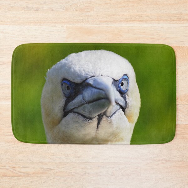 Item preview, A gannet at Cantick Head on Hoy designed and sold by Alan Mackinnon.