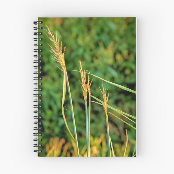 Item preview, Roadside Grass designed and sold by LynyrdSky.