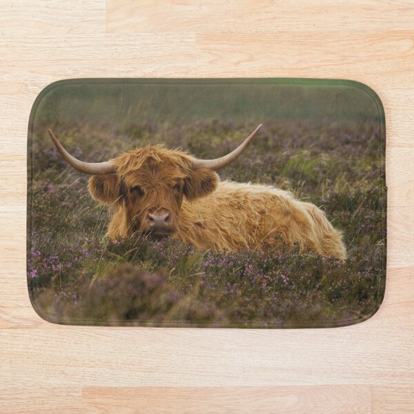 Item preview, Vaca de las tierras altas descansando entre el brezo designed and sold by rawshutterbug.