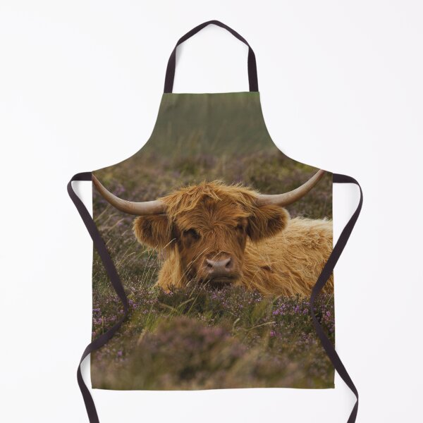 Item preview, Highland Cow Resting Among The Heather designed and sold by rawshutterbug.