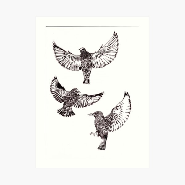 BIRDS 2 Art Print