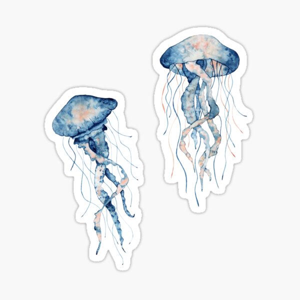 Jellyfish Stickers for Sale, Free US Shipping