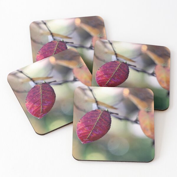 Item preview, Final Color Burst designed and sold by cuprum.