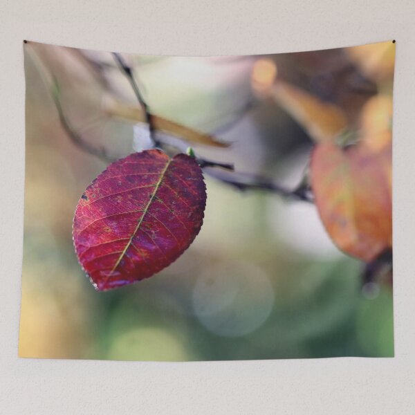 Item preview, Final Color Burst designed and sold by cuprum.