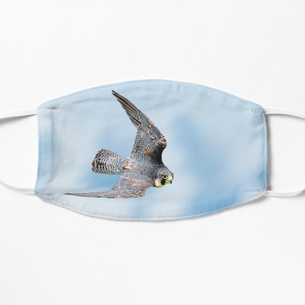Stooping Falcon Mask