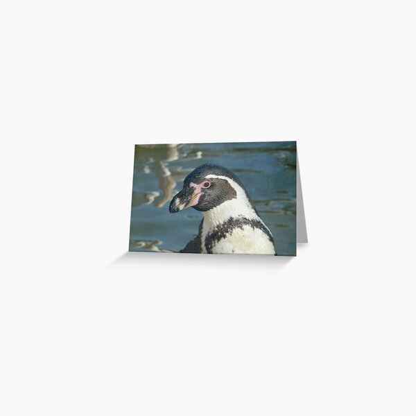 Penguin Greeting Card