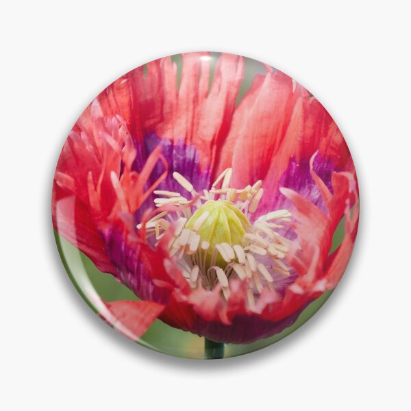 Item preview, Hiding the Purple for the Grand Opening designed and sold by Jouko Lehto Photography.