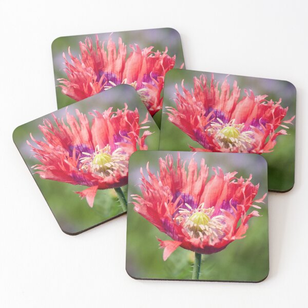 Item preview, Hiding the Purple for the Grand Opening designed and sold by Jouko Lehto Photography.