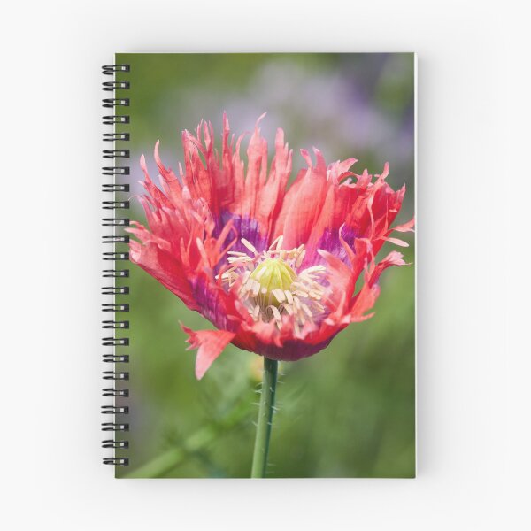 Item preview, Hiding the Purple for the Grand Opening designed and sold by Jouko Lehto Photography.