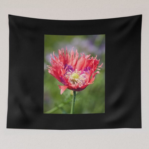 Item preview, Hiding the Purple for the Grand Opening designed and sold by Jouko Lehto Photography.