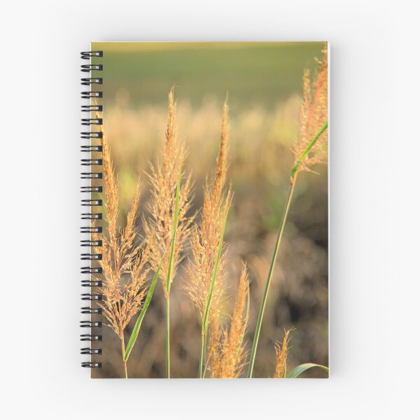 Item preview, Roadside Grass 2 designed and sold by LynyrdSky.