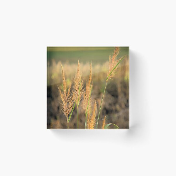 Item preview, Roadside Grass 2 designed and sold by LynyrdSky.