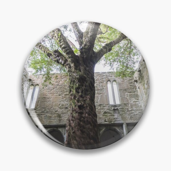 Item preview, Muckross Abbey Tree designed and sold by Aaron Corr.