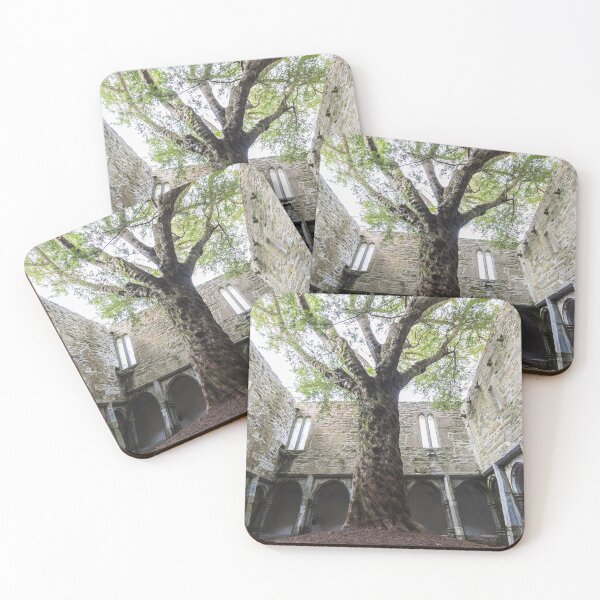 Item preview, Muckross Abbey Tree designed and sold by Aaron Corr.