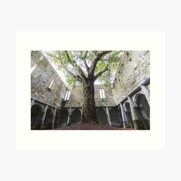 Item preview, Muckross Abbey Tree designed and sold by Aaron Corr.