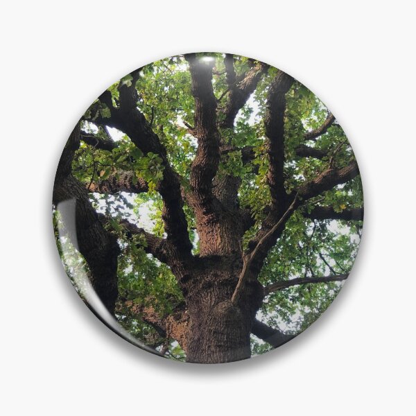 Item preview, Oak Tree Photography designed and sold by Danny Cazzato.