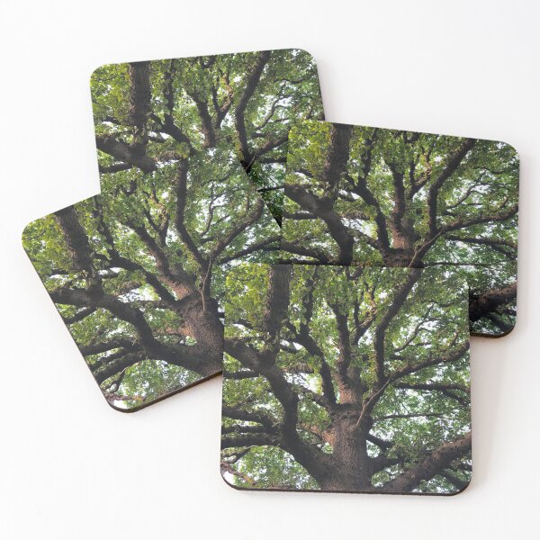 Item preview, Oak Tree Photography designed and sold by Danny Cazzato.