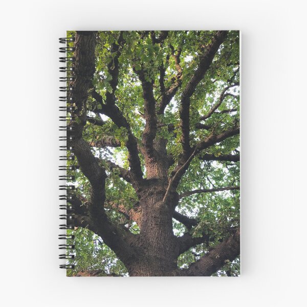 Item preview, Oak Tree Photography designed and sold by Danny Cazzato.