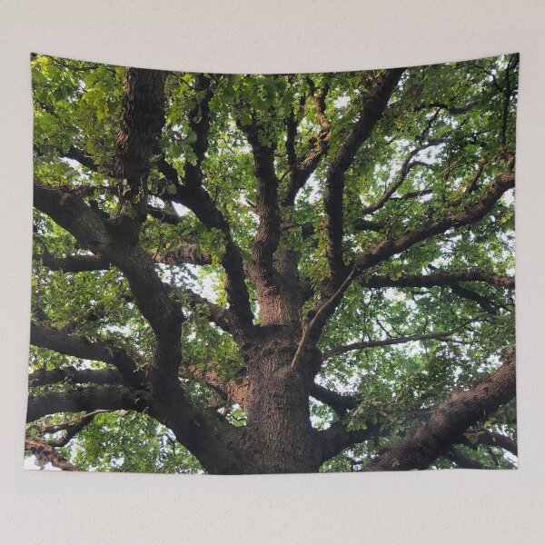 Item preview, Oak Tree Photography designed and sold by Danny Cazzato.