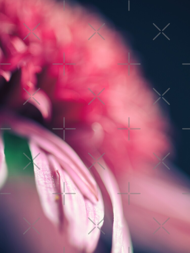 Flower Mystical by WendyLeyten