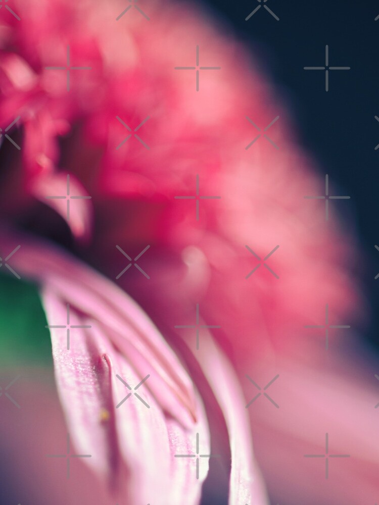 Flower Mystical by WendyLeyten