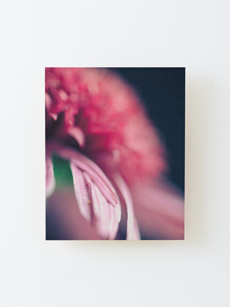 Alternate view of Flower Mystical Mounted Print