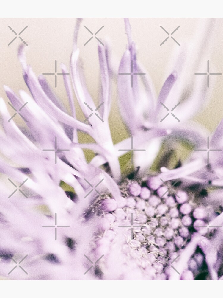 Flower Mystical by WendyLeyten