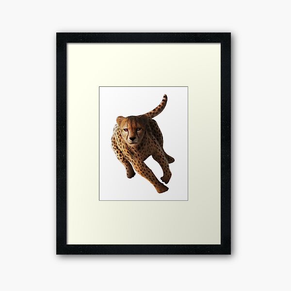 Cheetah Framed Art Print