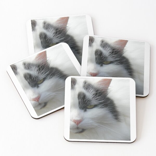 Item preview, Black and White Cat designed and sold by JuliaWright.