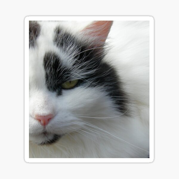 Seriously Relaxed Sticker