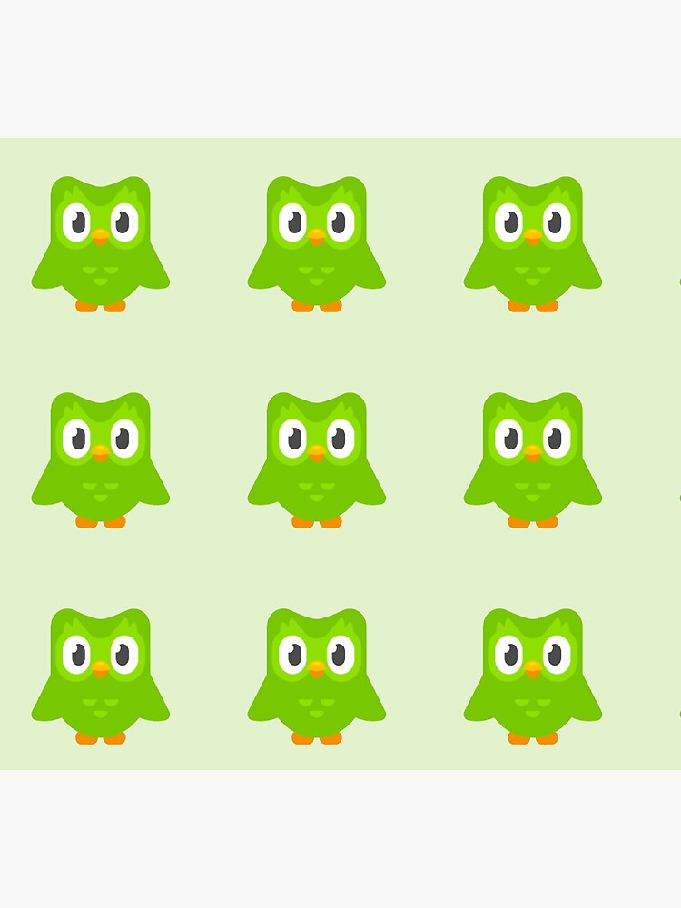 Duolingo bird by indielanguages