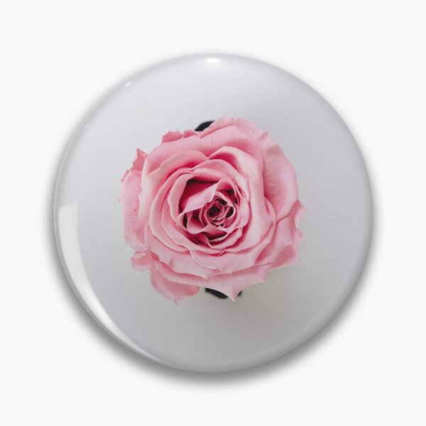 Item preview, Beautiful Blush Pink Rose  designed and sold by newburyboutique.