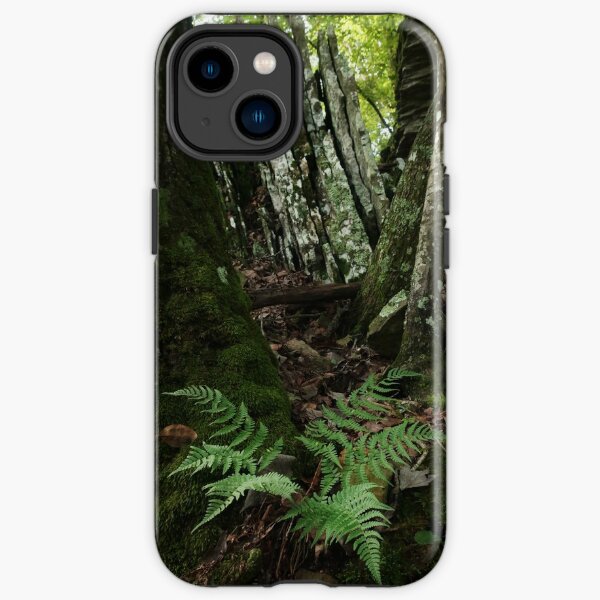 Rocks and Ferns II iPhone Tough Case