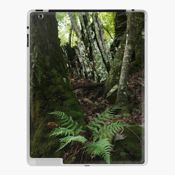Rocks and Ferns II iPad Skin