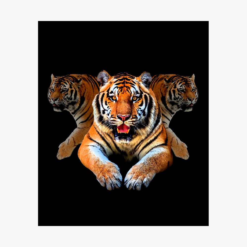 cool gifts for tiger lovers