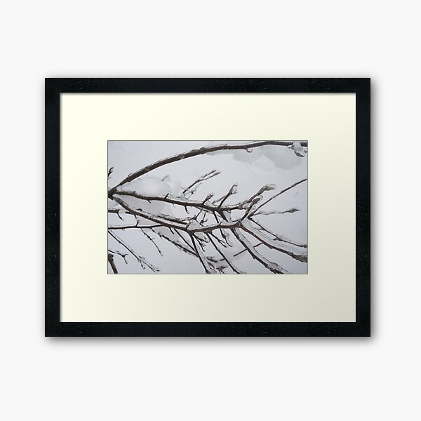 Winter 1314_28 Framed Art Print