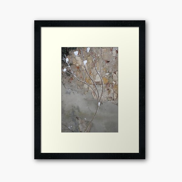 Winter 1314_29 Framed Art Print