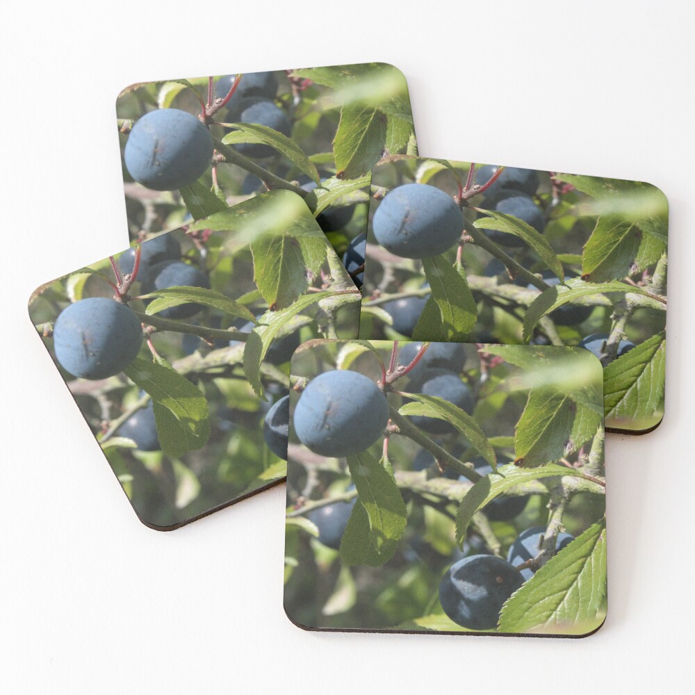Item preview, Coasters (Set of 4) designed and sold by DesignsofNote.