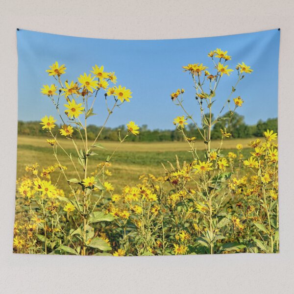Item preview, Jerusalem Sunflower designed and sold by LynyrdSky.