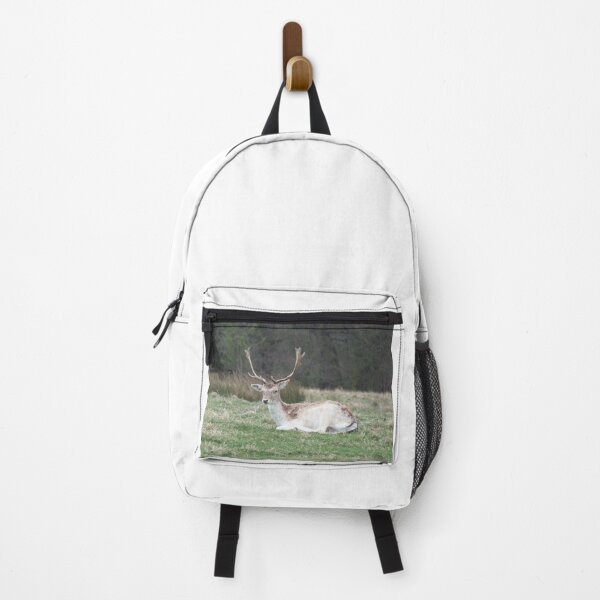 Item preview, Young Fallow Buck  designed and sold by FastRapidash.