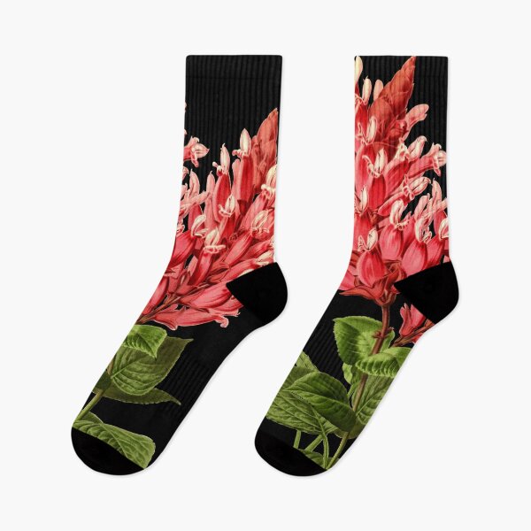 Item preview, Beautiful Vintage Flower Botanical Art designed and sold by Darwin F.