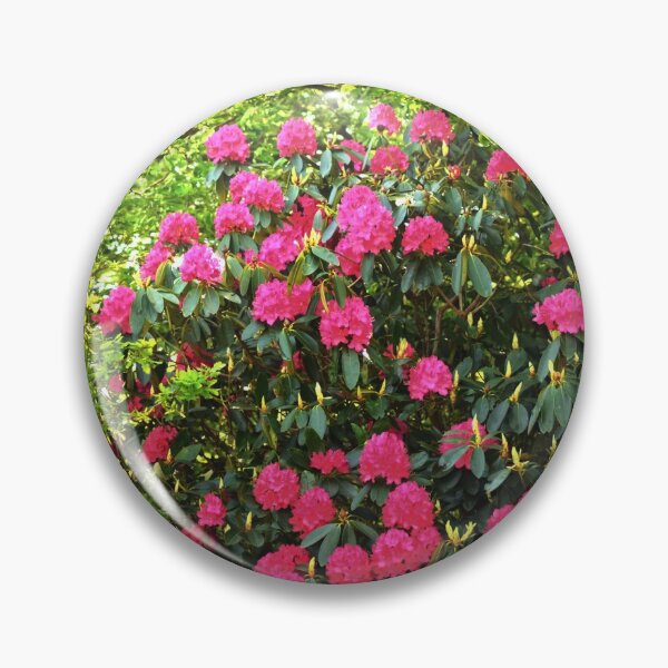 Item preview, Hydrangeaceae designed and sold by PicsByTony.