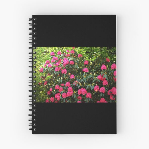 Item preview, Hydrangeaceae designed and sold by PicsByTony.