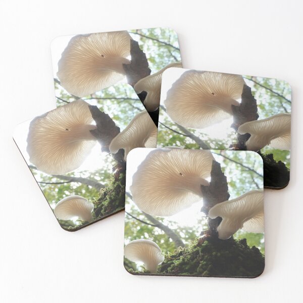 Item preview, Bug's-eye view designed and sold by Daniel Holtmeyer.