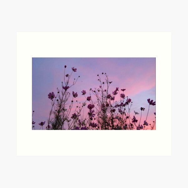 Aesthetic Pink Flower Art Print