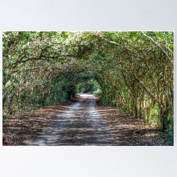 Item preview, Mother Nature's Road designed and sold by Diego Re.