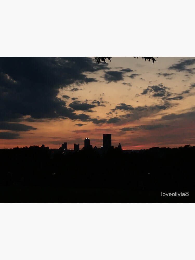 "Pittsburgh Skyline from Schenley Park" Sticker for Sale by loveolivia8
